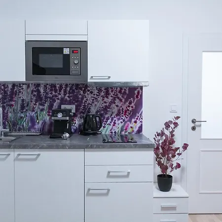 Minimalist In Wenceslas Square Apartment Prague